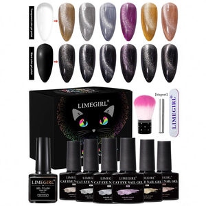Set de Herramientas Magnéticas para Uñas con Efecto Ojo de Gato, Caja de Color, Magnético Fuerte Chapado en Oro - Product Image 1