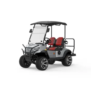 2 seater small electric golf cart with CSA