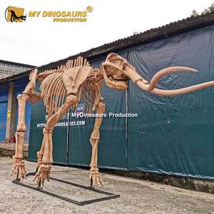 Mon Dino En Fiber De Verre Artificielle Mammouth Squelette Modèle - Product Image 1