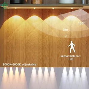 led house furniture lighting luz motion sensor night light bar Shelf Dimmable kitchen Lamp cabinet lights