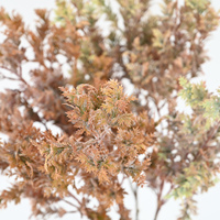 Fleur artificielle en soie vanille éternelle de 75 cm pour arrangements de mariage, Halloween, Noël et la Fête des Mères - Faite à la main et écologique