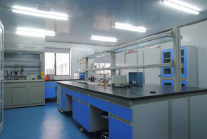 <span class=keywords><strong>Hoodia</strong></span> gordonii özü - Product Image 4