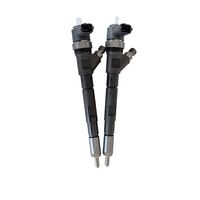 0 445 110 665 0445110665 Inyector de Combustible Common Rail de Alto Rendimiento, Calidad Estable Probada 0445110666 0 445 110 666