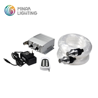 Illuminateur de moteur de lumière à fibre optique Offre Spéciale double ports 24W RGBW avec DMX