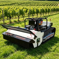 Tondeuse robot télécommandée pour pentes agricoles, GPS, chenillée, moteur essence 420cc, sans fil, professionnelle, qualité industrielle, désherbage