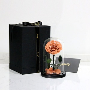 Set regalo di natale di tendenza piccola cupola di vetro rose conservate altre decorazioni per la casa-i migliori regali di Natale - Product Image 3