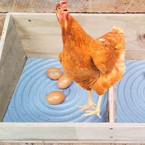 <span class=keywords><strong>Huevos</strong></span> Falsos de Madera y Plástico de Alta Calidad YYX LMA13, <span class=keywords><strong>Huevos</strong></span> de Imitación para Nidos de Gallinas - Product Image 6