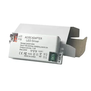Driver Led 48W 500Ma 600Ma Dc12-48V Switching Power Supplies Low Voltage DownLight Strip Light Neon Power Supply