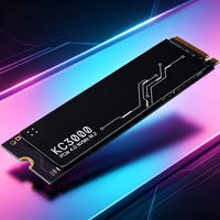PUSKILL M.2 NVMe PCIe Internal SSD 250GB 500GB 1TB 2TB 3D NAND Flash Solid State Drive Harga Grosir