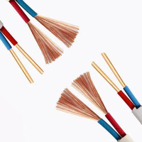 Câble en cuivre plat parallèle flexible RVVB pour câblage sécurisé 2x0.75 2x1.0 2x1.5 2x2.5 2x4 gaine blanche rouge bleu 300/450V