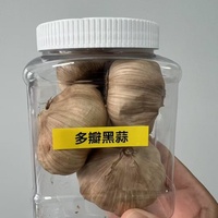 Ail noir en gousses pelées, poudre/d'huile d'ail noir, ail noir à prix abordable