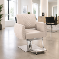 Chaise de coiffure professionnelle à cadre métallique, réglable et hydraulique pour salon
