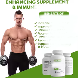 Murni Turkesterone 40% 10% Label pribadi Ajuga kapsul Turkesterone 500mg 1000mg - Product Image 2