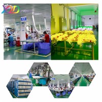 Projecteurs LED personnalisés XQD DMX512 RGB/RGBW étanches IP67 DC24V à 120° d'éclairage pour parcs à thème
