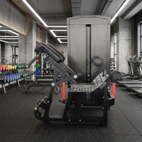 Machine de musculation professionnelle en acier pour extensions dorsales et étirements des jambes, avec sélection de poids réglable