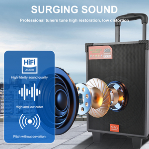 Micrófono Bluetooth Portátil para Exteriores SING-E JQS908S, Tarjeta de Sonido para Cantar, Radio Inalámbrica para el Hogar, Subwoofer para Bailes Cuadrados - Product Image 2