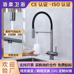 Austenite Kitchen Faucet 304 Stainless Steel Pull Down Design For Sink Vegetable Washing Water Purifier - Product Image 5