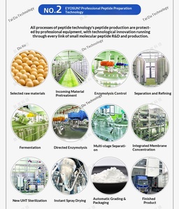 Suplemen Herbal Dewasa Desain OEM untuk Mengurangi Stres & Mendukung Antioksidan dalam Bentuk Kapsul - Product Image 6