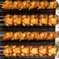 Four à rôtir au gaz pour poulet à la brésilienne, pour usage commercial