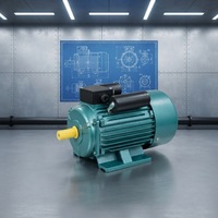 Moteur asynchrone monophasé OMEIK série YL 1HP 2HP 10HP 1450 tr/min, cadre 130 mm, montage sur pied, entièrement fermé, 50/60Hz