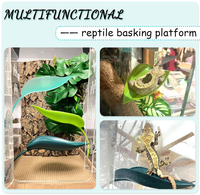 Habitat moderne écologique pour grenouilles arbres, reptiles, amphibiens, petites plantes en plastique réalistes, boîte pour animaux de compagnie, décoration paysagère