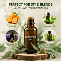 Huile d'eucalyptus pure, huile essentielle distillée à la vapeur, d'origine naturelle, matière première pour les soins personnels, savon, lotion, produits ménagers