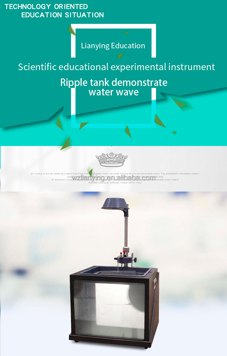 Water Wave Vibration Study Kit - Pneumatic Ripple Tank for Physics  Education | CE ISO Certified 220V, 100W Equipment