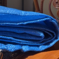 Voile d'ombrage bleue tissée avec anneaux en D, ourlet renforcé, toile maillée pour patio, jardin, abri de voiture, piscine, auvent extérieur
