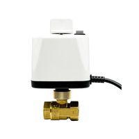 Vanne à boisseau sphérique électrique en laiton 1/2'' 3/4'' 1'' 220V/12V/24V, à deux fils, normalement fermée/ouverte, motorisée, avec interrupteur manuel, pour eau, OEM