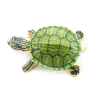 Figura de Tortuga de Simulación, Juguete Educativo de Animales para Niños, Tortuga Terrestre Realista, Tortuga Marina, Modelo de Tortuga Estrella, Juguete Cognitivo