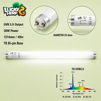 LuckyHerp T8 36W UVB5.0 Lampe UVB Spirale Classique en Verre pour Reptiles Écologique Intérieur Toutes Saisons 48in JX-FL8T3605