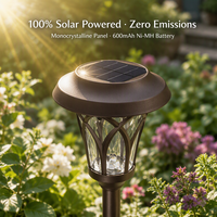 Lampes solaires pour allées extérieures, étanches, LED blanc chaud, lampes à piquet pour jardin, paysage, pelouse, cour, allée, patio