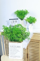 Fabrieksgroothandel Ge conserveerde Gypsophila Baby's Breath Eeuwigdurende - Hoge Kwaliteit Bloemmaterialen 120g/Pak Bulk Leverancier Bruiloft/Bureau