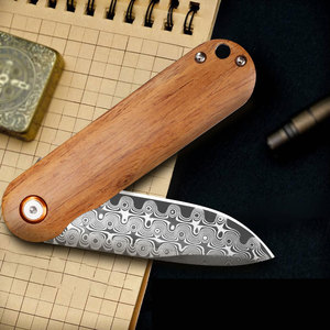 Couteau de chasse Bowie à lame dentelée en acier inoxydable de haute qualité, manche portable, couteau de poche pour le camping en plein air, vente en gros - Product Image 2