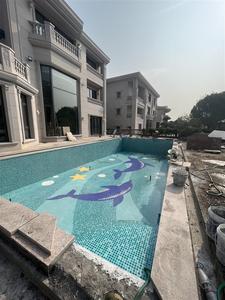 Mosaïque en céramique de porcelaine en forme de dauphin, directement de l'usine, pour carrelage de piscine - Product Image 5