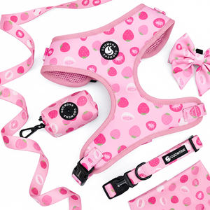 Ensemble de harnais pour petit chien, collier rembourré en maille respirante, laisse de luxe personnalisée avec broderie, ensemble harnais et laisse pour chien - Product Image 2