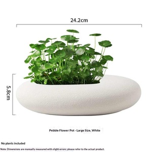 Non-perforated Minimalist Universal Hydroponic Flower <b>Pot</b> Simple Creative Pennywort Golden Kudzu Hydroponic Plants <b>Large</b> - Product Image 4