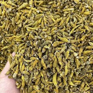 <span class=keywords><strong>Huya</strong></span> Dendrobium y Golden Fork Dendrobium Origen y estilo de suministro Tipo de procesamiento seco Crudo - Product Image 1