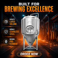 Cuve de Fermentation Conique en Acier Inoxydable HG 10bbl Haute Capacité 1000L pour Microbrasserie, Tension 220V/380V, Garantie 6 Ans