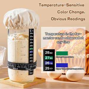 High Quality Eco-friendly Conical Fermenter Glass Jar Scraping Tool Sourdough Starter Kit for Bread Making <b>Baking</b> Pastry Tools - Product Image 3