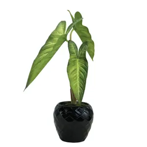 Alocasia Cucullata Factory Sale Real Touch In Pot Bonsai Fake Alocasia PU Artificial Plant For Home Decoration Indoor