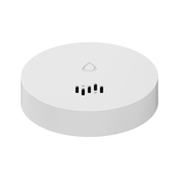 Alarme d'eau Zigbee avec batterie remplaçable