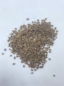 Graines de papaye à haut rendement Botani California IPB, variété de papaye douce, fournisseur de semences agricoles pour fruits tropicaux - Product Image 2