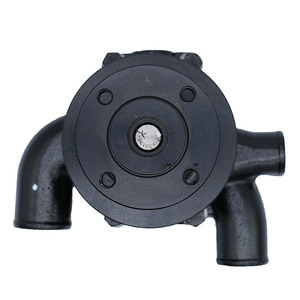 Bomba de Agua para Massey Ferguson U5MW0023 41312154 41312159, Pieza de Repuesto para Maquinaria Agrícola - Product Image 2