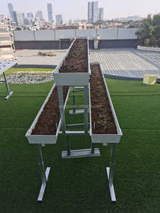 Système hydroponique pour fraises, tomates, œufs, melons, poivrons, avec système de gouttières pour substrat - Product Image 5