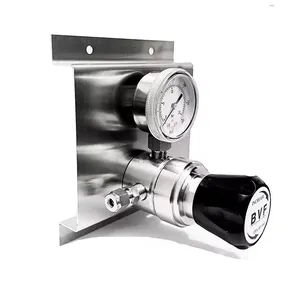 Gas Cylinder Pressure Reducing Valve Stainless Steel Gas Liquid Pressure Regulating Valve Nitrogen Hydrogen Argon Water Air