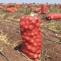 50X80 Pp Groente Mesh Zak Voor Het Verpakken Van Aardappelen Knoflook Fruit Sinaasappelen Brandhout Uienzakken