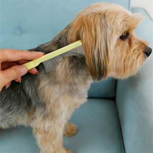 Peigne de toilettage en acier inoxydable pour animaux de compagnie, outil démêlant et anti-poils pour chiens et chats, nettoyage et élimination des poils, peigne pour chien et chat - Product Image 6