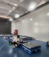Batterie au lithium liquide LiFePO4 24V/25.6V 50Ah-400Ah à décharge profonde pour solaire/yacht/marine/voiturette de golf/stockage sur réseau, 6000 cycles, garantie 5 ans