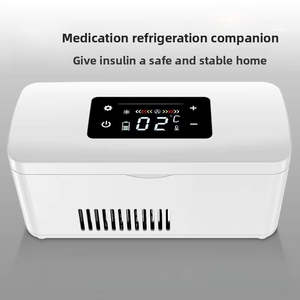 Caja de Almacenamiento Portátil Pequeña al por Mayor, Refrigerable, para Guardar Medicamentos - Product Image 1
